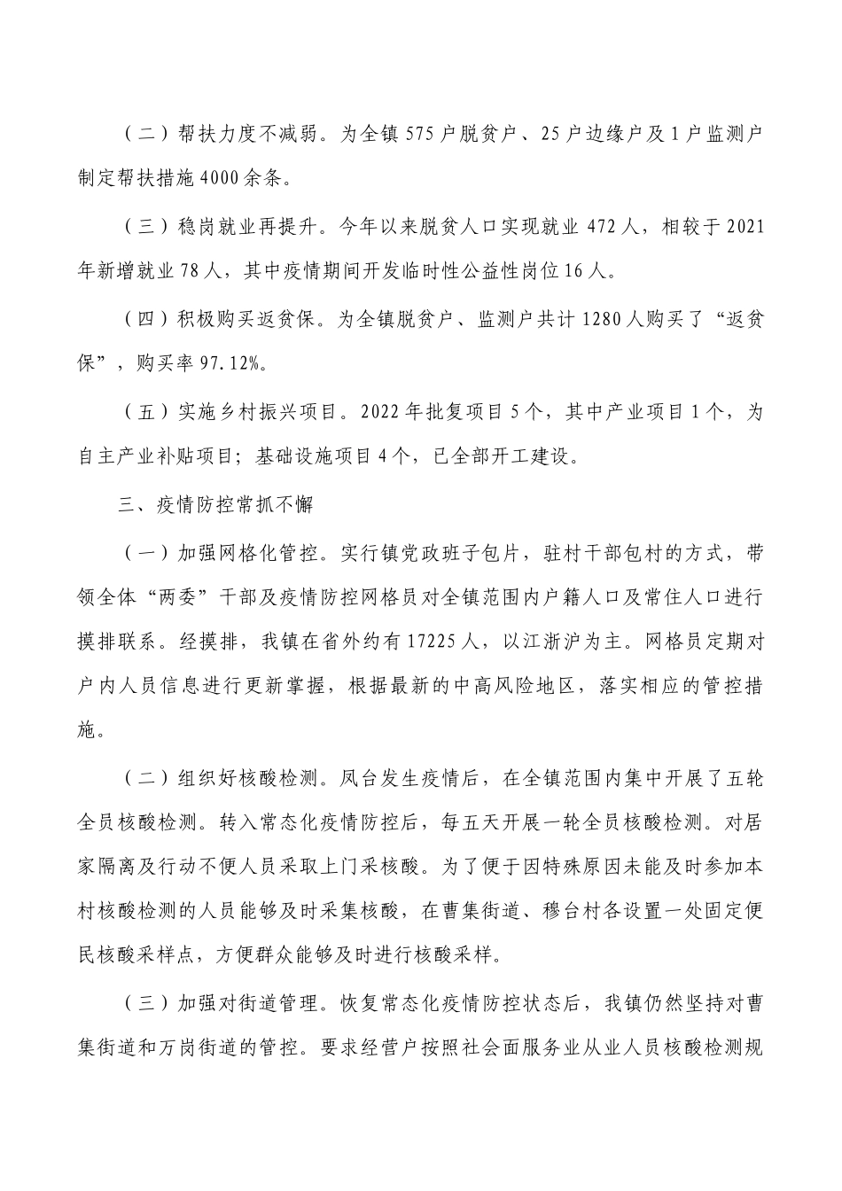 乡镇2022年工作总结报告.docx_第2页