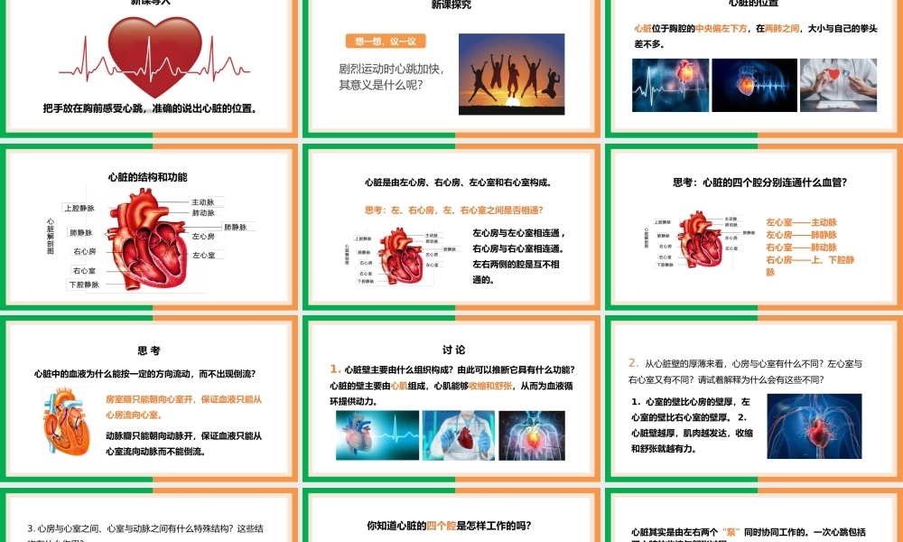 七年级下册输送血液的泵心脏的结构和功能PPT课件.pptx
