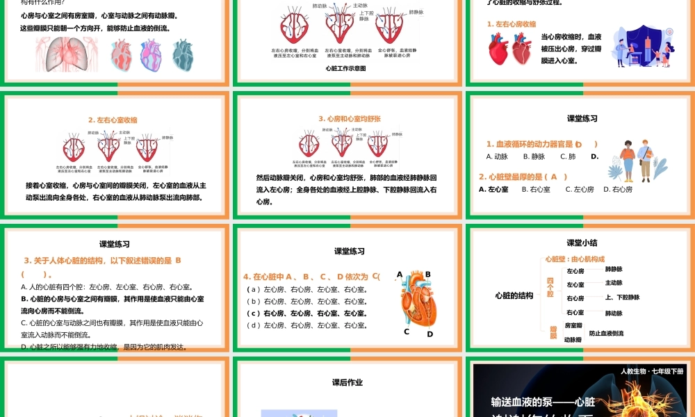 七年级下册输送血液的泵心脏的结构和功能PPT课件.pptx
