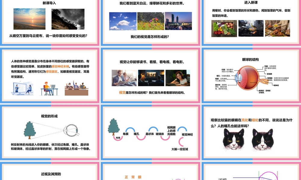 七年级下册人体生命活动的调节眼和视觉PPT课件.pptx