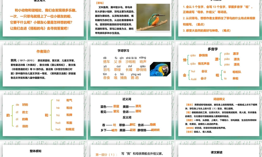 小学语文统编版三年级上册《搭船的鸟》教育教学课件.pptx