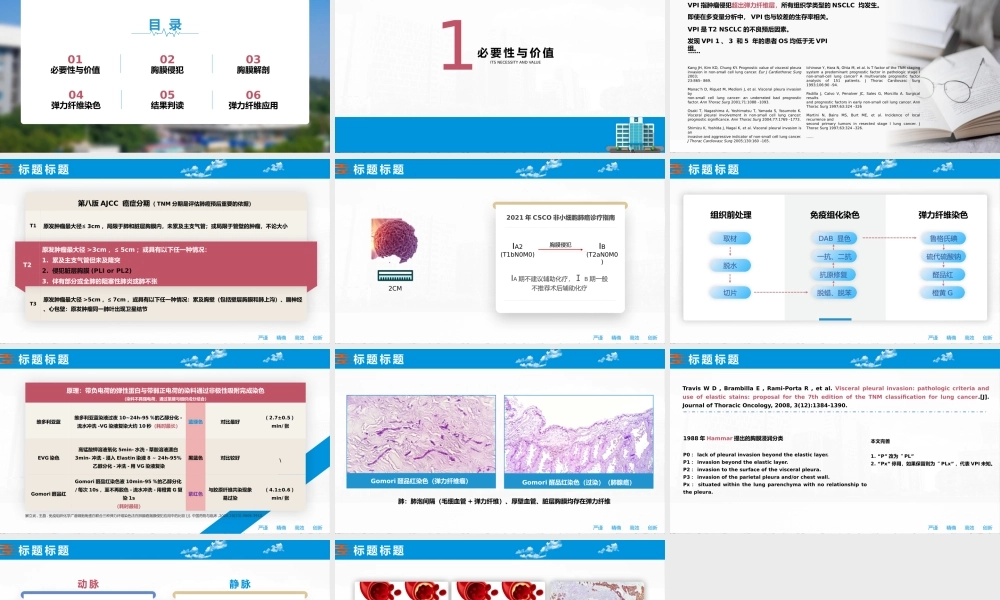非小细胞肺癌的胸膜侵犯医学课件PPT课件（带内容）.pptx