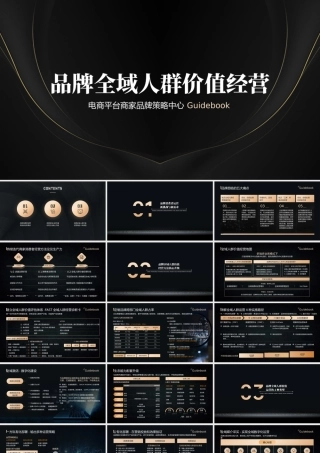 XX品牌全域人群价值经营指南PPT课件（带内容）.pptx