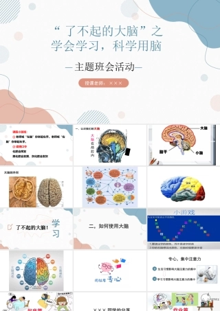 了不起的大脑之学会学习PPT科学用脑PPT课件（带内容）.pptx