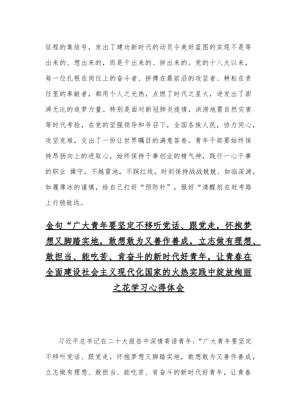 学习金句“广大青年要坚定不移听党话、跟党走立志做有理想、敢担当、能吃苦、肯奋斗的新时代好青年让青春在全面建设社会主义现代化国家的火热实践中绽放绚丽之花心得稿4份.docx_第3页