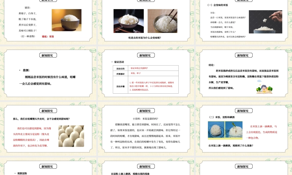 教科版六年级科学下册第二单元《物质的变化-米饭、淀粉和碘酒的变化》PPT课件.pptx