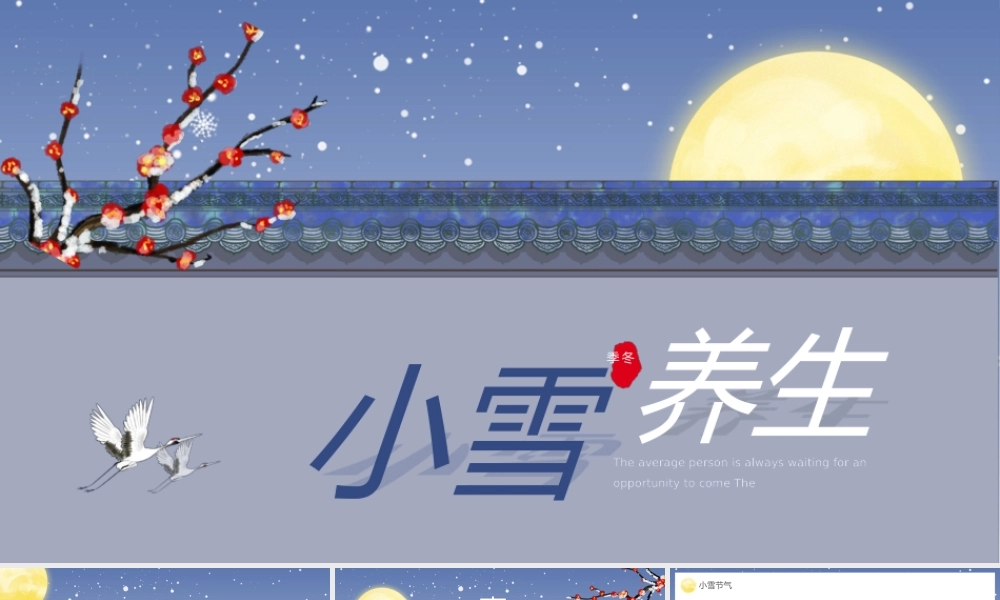 蓝紫色简约中国风小雪养生宣传PPT.pptx