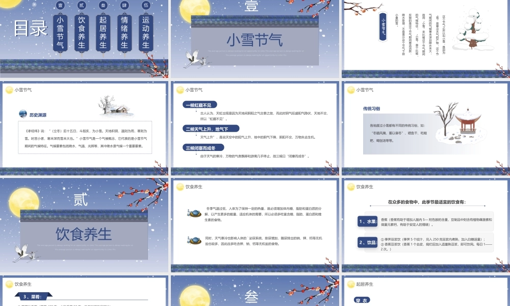 蓝紫色简约中国风小雪养生宣传PPT.pptx