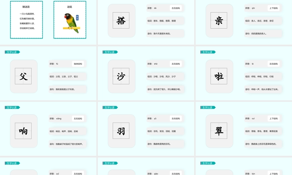 小学语文人教部编版三年级上册《搭船的鸟》教学PPT课件.pptx