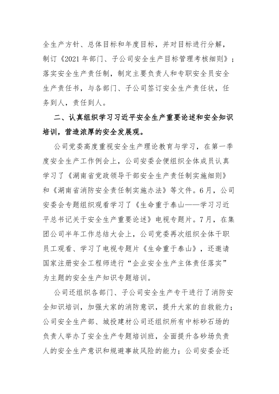 城投集团有限公司安全生产工作总结.docx_第2页