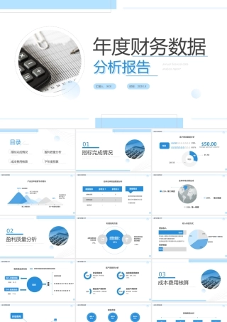20XX年度财务数据分析报告PPT课件（带内容）.pptx