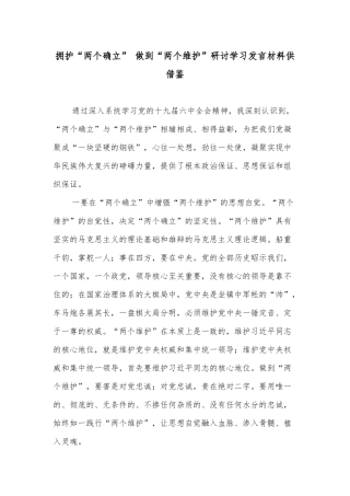 拥护“两个确立” 做到“两个维护”研讨学习发言材料供借鉴.docx