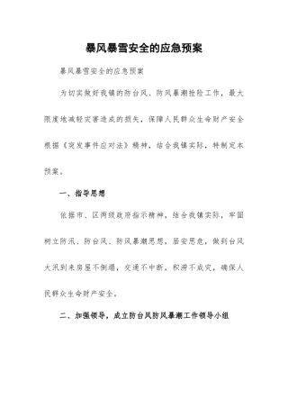 暴风暴雪安全的应急预案.docx