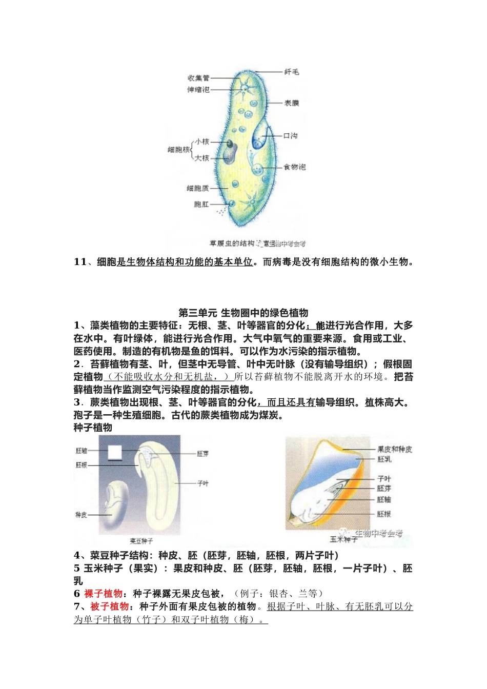 部编初中生物七上知识点总结.docx_第3页