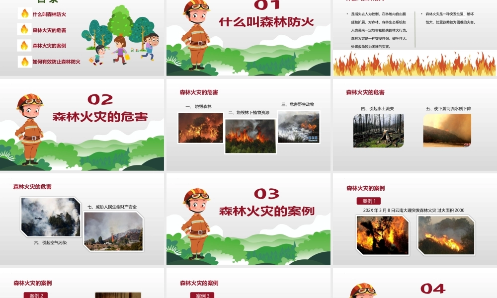 中小学森林防火主题班会PPT森林防火人人有责PPT课件（带内容）.pptx