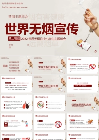 2022世界无烟日中小学生主题班会PPT别让香烟烧断你的前路PPT课件（带内容）.pptx