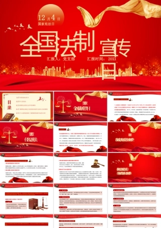 全国法制宣传日PPT我国宪法规定公民的基本权利与基本义务PPT课件（带内容）.pptx