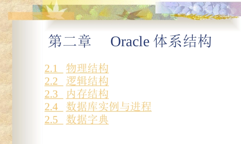 Oracle体系结构与数据库实例.ppt