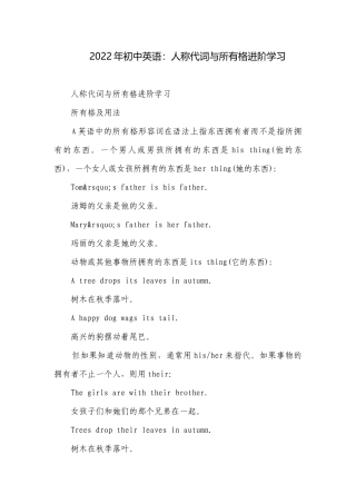2022年初中英语：人称代词与所有格进阶学习.docx