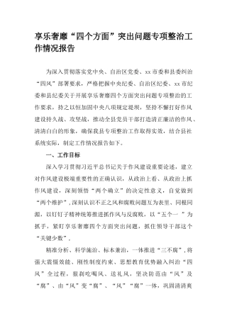 享乐奢靡“四个方面”突出问题专项整治工作情况报告.docx