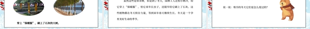 部编版一年级道德与法治上册第四单元《天气虽冷有温暖-美丽的冬天1》PPT课件.pptx
