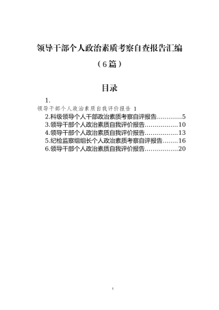 领导干部个人政治素质考察自查报告汇编（6篇）.docx