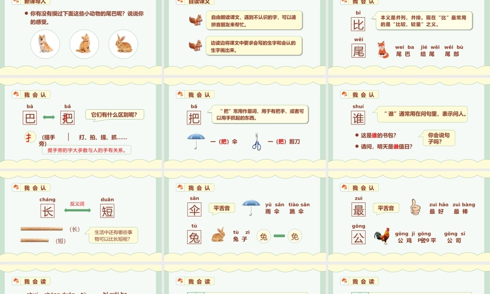 小学语文统编版一语上第六单元课文6比尾巴.pptx