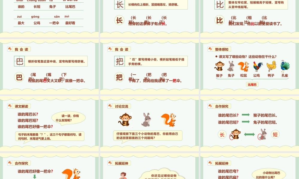 小学语文统编版一语上第六单元课文6比尾巴.pptx