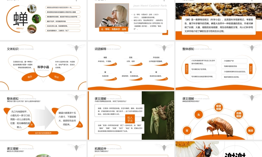 初中语文部编版八年级上册《蝉》公开课教学通用课件.pptx