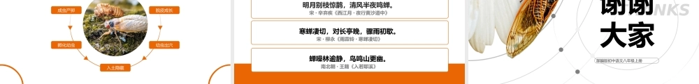 初中语文部编版八年级上册《蝉》公开课教学通用课件.pptx