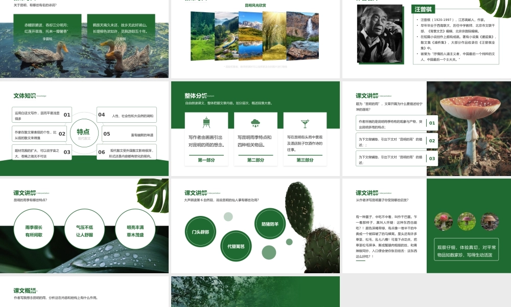 初中语文部编版八年级上册《昆明的雨》公开课教学课件.pptx