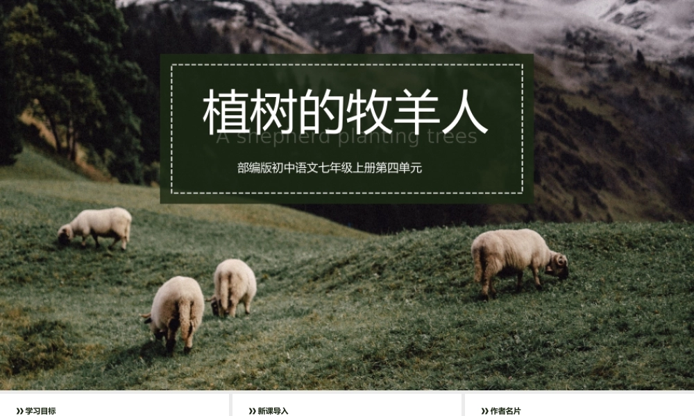 初中语文部编版七年级上册《植树的牧羊人》公开课教学课件.pptx