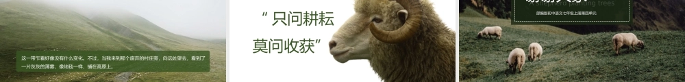 初中语文部编版七年级上册《植树的牧羊人》公开课教学课件.pptx