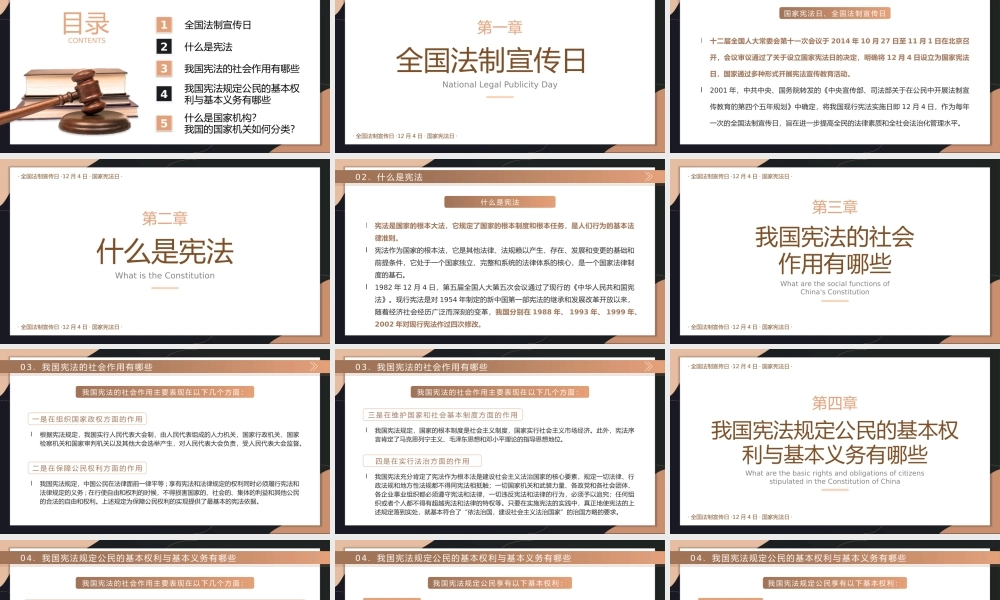 全国法制宣传日PPT模板.pptx