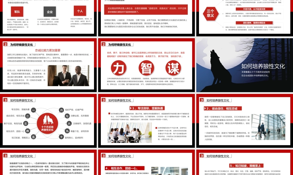 狼性文化精神企业文化建设培训PPT.pptx