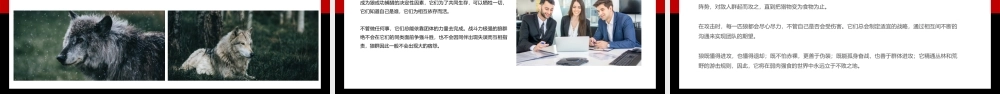 狼性文化精神企业文化建设培训PPT.pptx