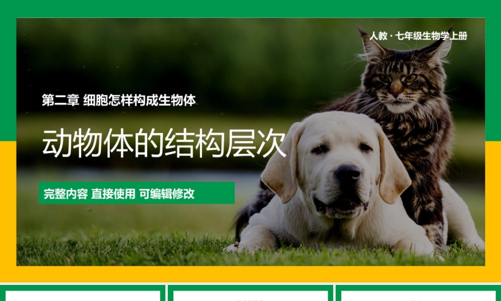 七上细胞怎样构成生物体动物体的结构层次PPT课件.pptx