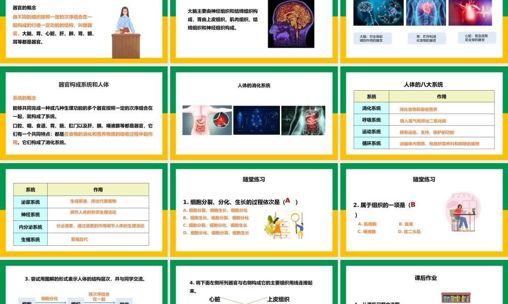 七上细胞怎样构成生物体动物体的结构层次PPT课件.pptx