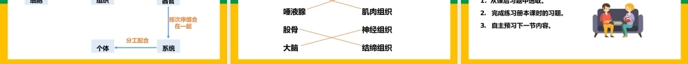 七上细胞怎样构成生物体动物体的结构层次PPT课件.pptx