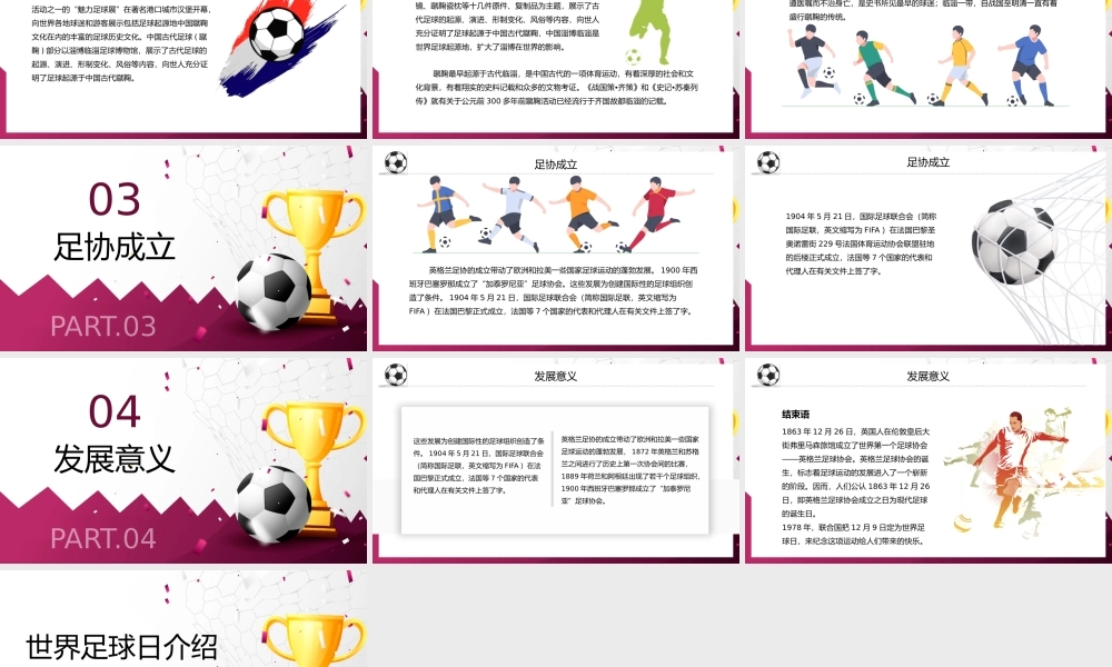 世界足球日介绍PPT模板.pptx