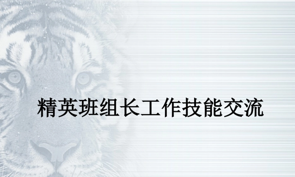精英班组长培训.pptx