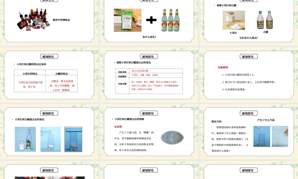 教科版六年级科学下册第二单元《物质的变化-小苏打和白醋的变化》PPT课件.pptx