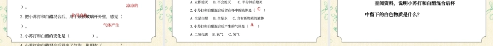 教科版六年级科学下册第二单元《物质的变化-小苏打和白醋的变化》PPT课件.pptx