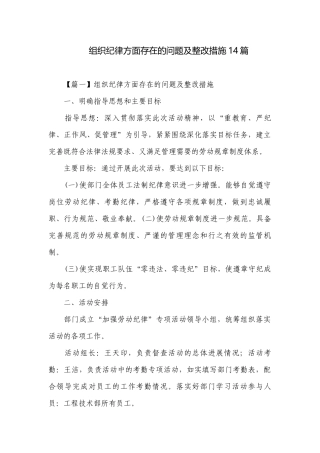 组织纪律方面存在的问题及整改措施14篇.docx