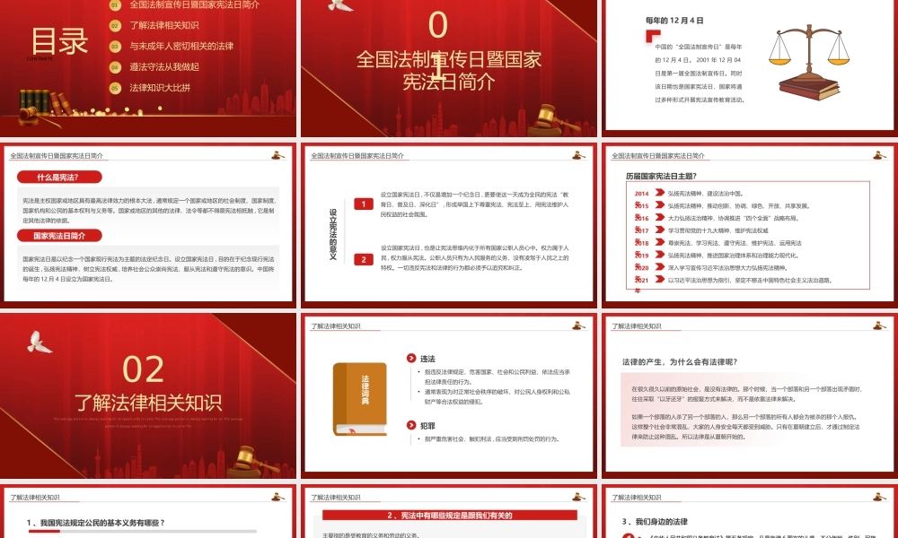 简约风学法用法向未来PPT.pptx
