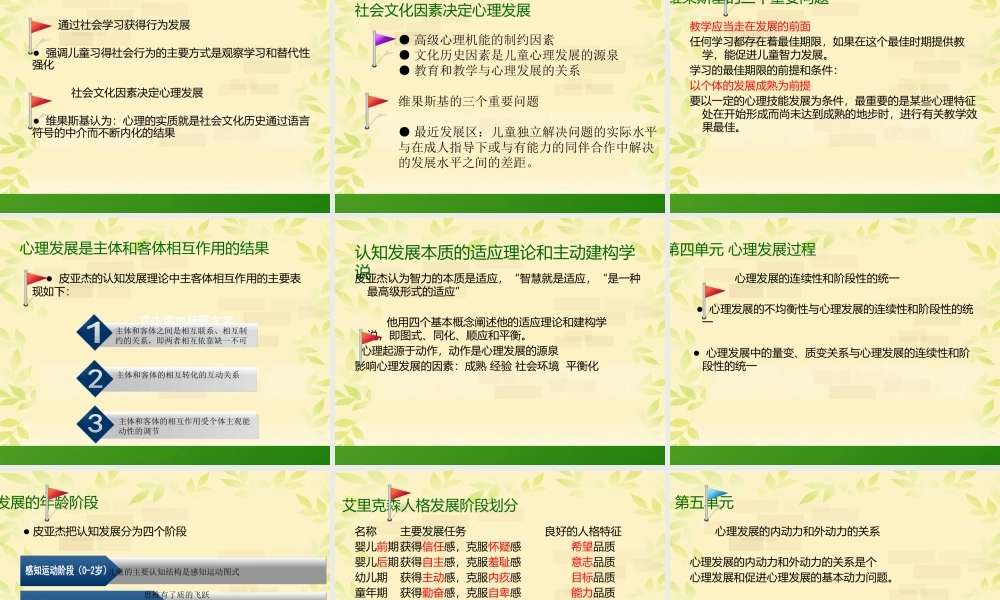 心理咨询师三级发展心理学的ppt.pptx