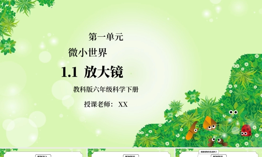 教科版六年级科学下册第一单元《微小世界-放大镜》PPT课件.pptx