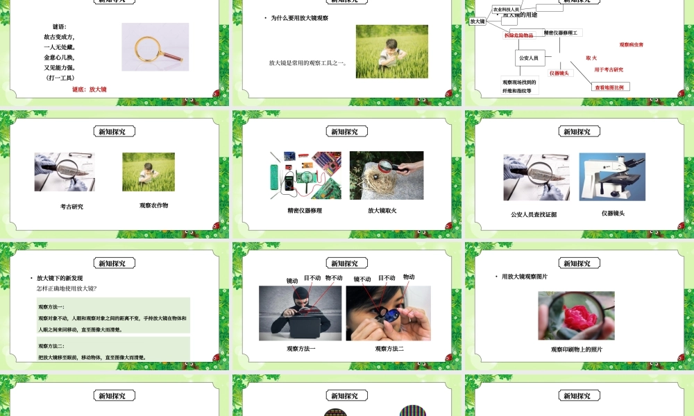教科版六年级科学下册第一单元《微小世界-放大镜》PPT课件.pptx