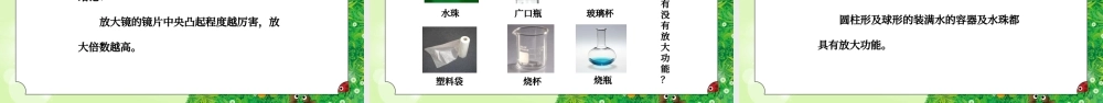 教科版六年级科学下册第一单元《微小世界-放大镜》PPT课件.pptx