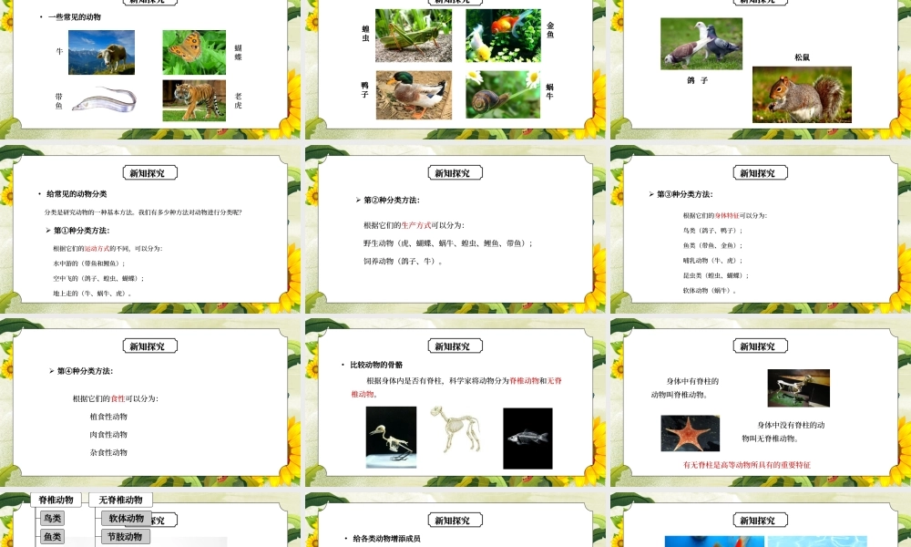 教科版六年级科学上册第四单元《生物的多样性-种类繁多的动物》PPT课件.pptx